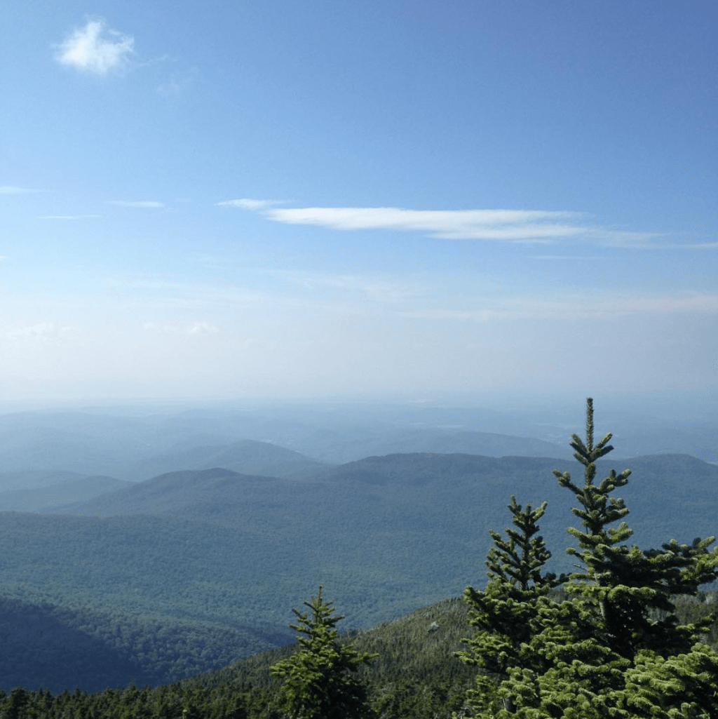 all looks fine from&nbsp;here