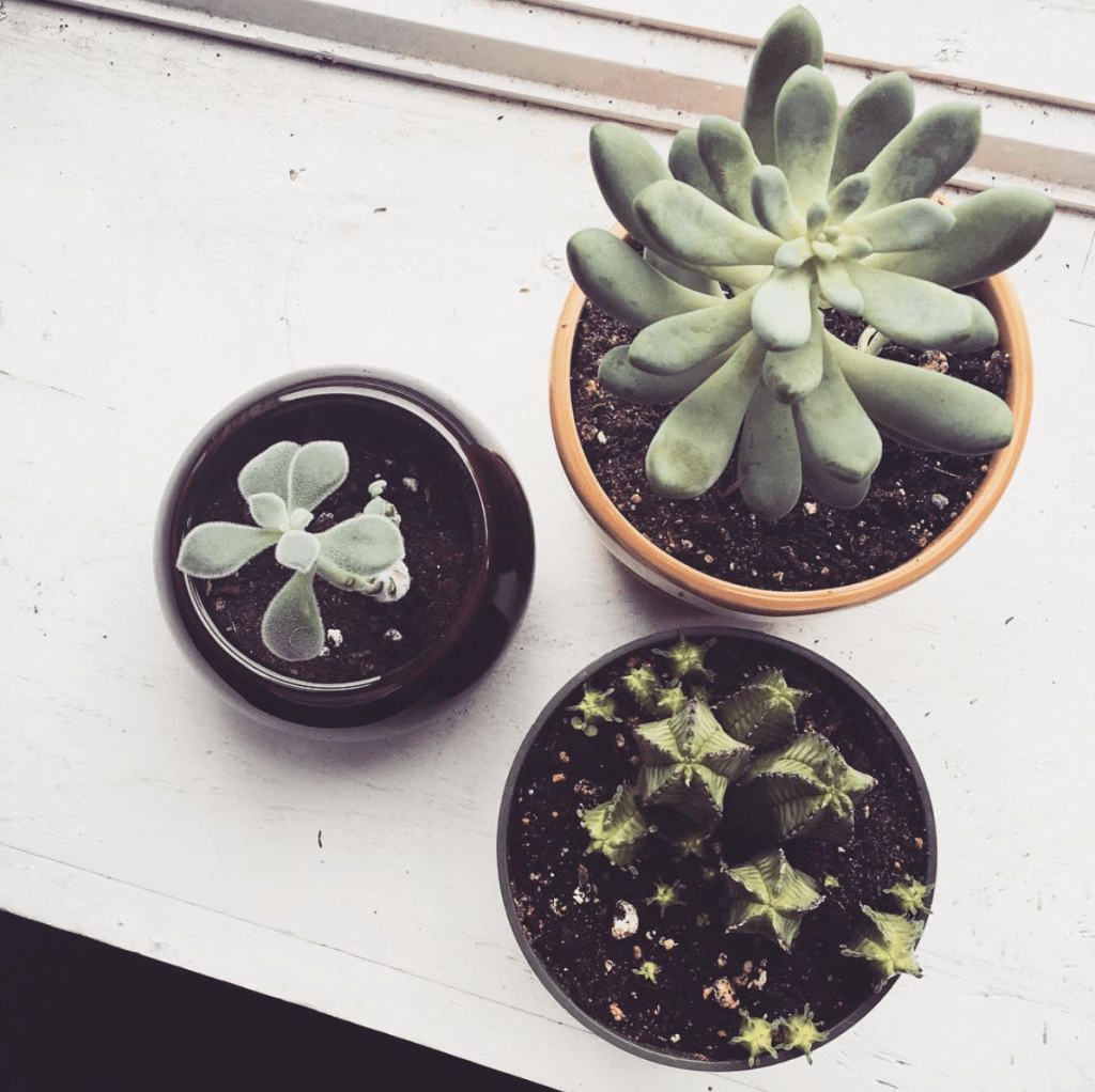 2 | october |&nbsp;2016