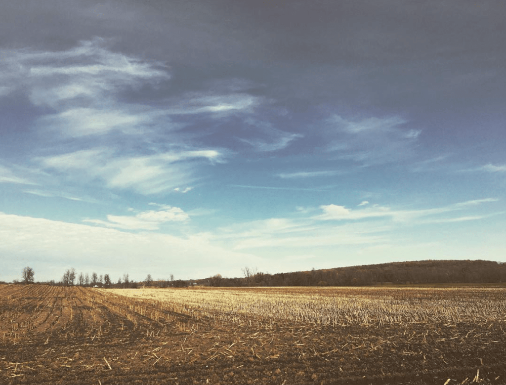 i couldn’t ask for anything&nbsp;more