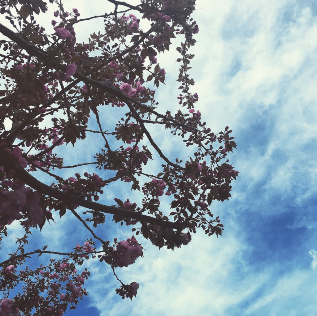 you won’t miss anything if you look up, but you might if you never&nbsp;do