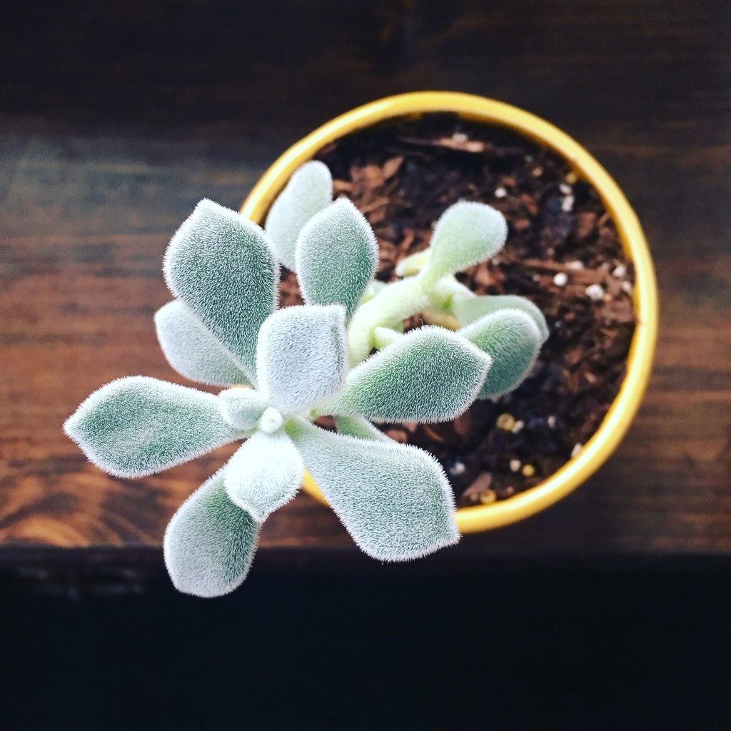 13 | july |&nbsp;2017